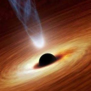 Meet your Posher, Louis